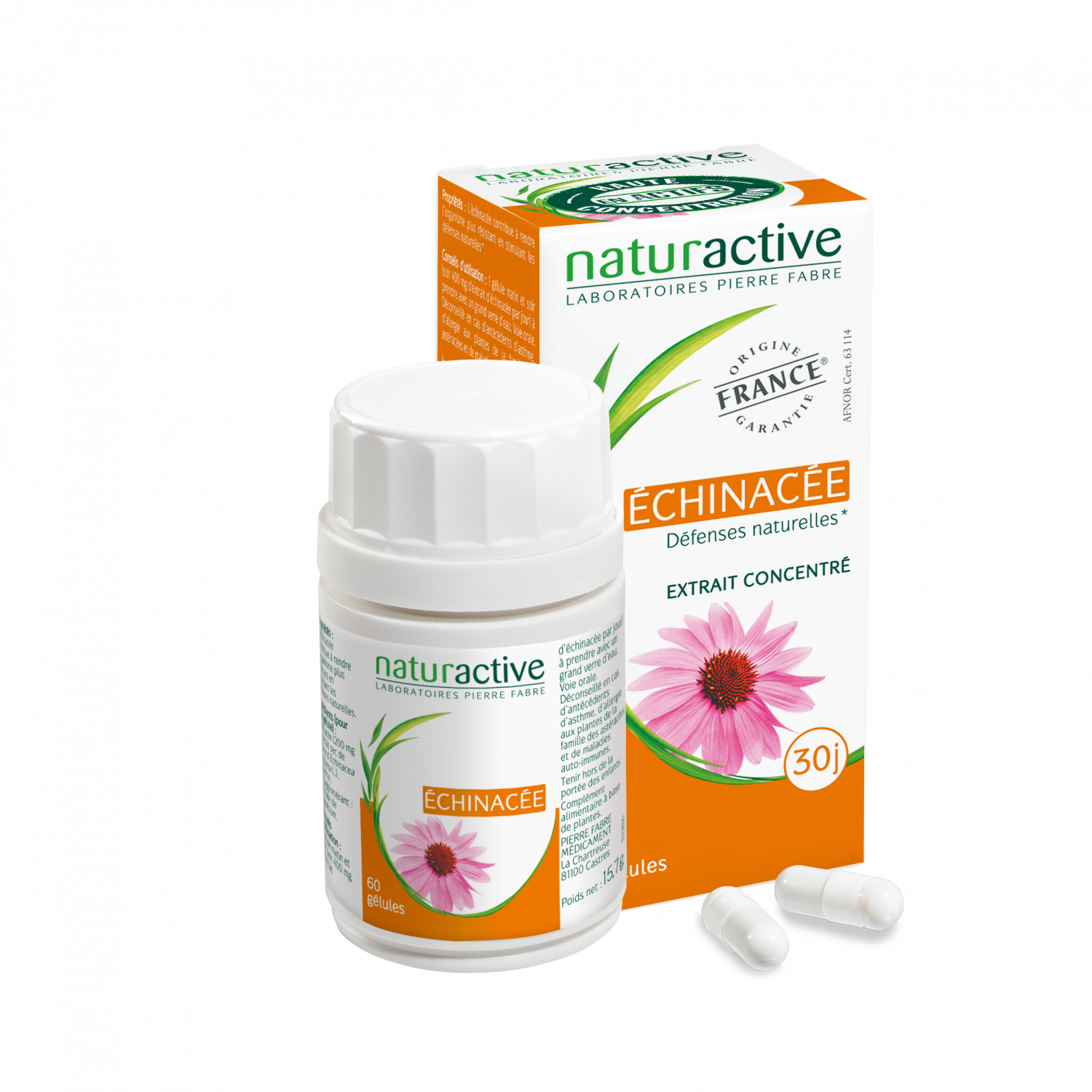 Elusanes échinacée Naturactive - boîte de 60 gélules