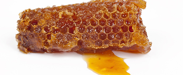 Pourquoi choisir de la propolis BIO ?