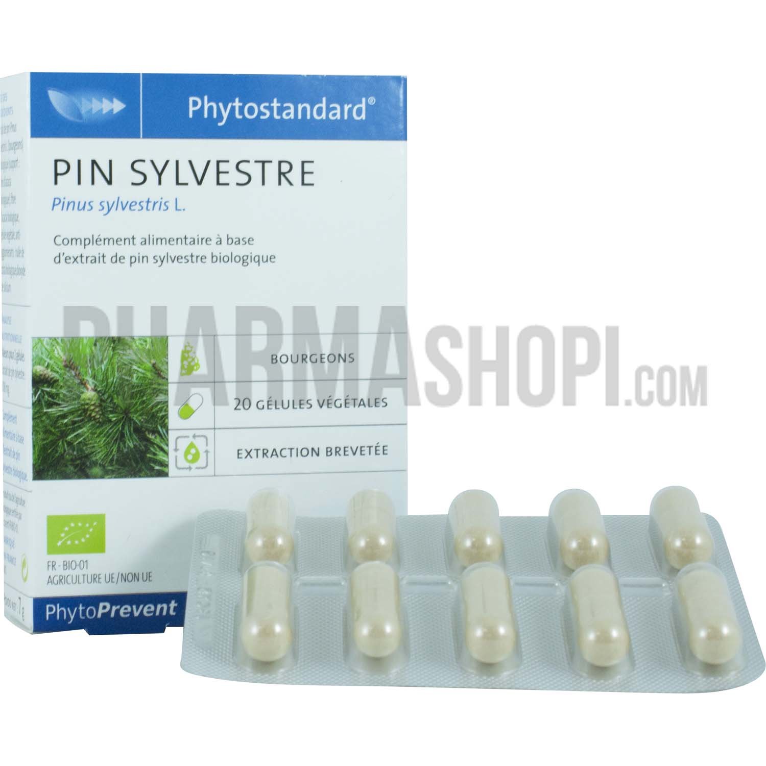 Phytostandard pin sylvestre gélule - boite de 20 gélules