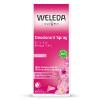 Déodorant à la rose musquée bio Weleda - spray de 100ml