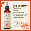 Fleur de Bach Red Chestnut Aesculus carnea - flacon de 20 ml