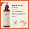 Fleur de Bach Rock Rose Helianthemum nummularium - flacon de 20 ml