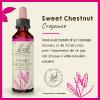 Fleur de Bach Sweet Chestnut Castanea sativa - flacon de 20 ml