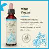 Fleur de Bach Vine Vitis vinifera - flacon de 20 ml