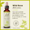 Fleur de Bach Wild Rose Rosa canina - flacon de 20 ml