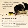 Rescue Pets Friandises relaxantes pour chiens Fleurs de Bach - boite de 60 friandises