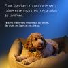 Rescue Pets nuit Fleurs de Bach - flacon compte-gouttes de 20ml