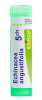 ECHINACEA ANGUSTIFOLIA granules Boiron - Tube 4 g Dilution : 5 CH 