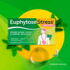 EuphytoseStress® Digestion - Stress et confort intestinal -  Probiotiques, mélisse, vitamine B2 2x14 comprimés