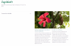 Gel douche nutritif au Cupuaçu bio Fleur d'Hibiscus Klorane - tube de 200 ml