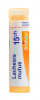 LACHESIS MUTUS (MUTUS) granules Boiron - tube 4 g Dilution : 15 CH 