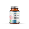 OligoVégétal Calcium bio 3 Chênes - pot de 60 comprimés