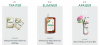 Shampoing rééquilibrant antipelliculaire au Galanga Klorane - flacon de 400 ml