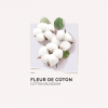 Eau de parfum Fleur de coton Solinotes - spray de 15ml