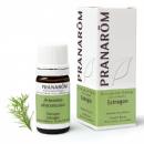 Huile esssentielle prédiluée estragon (Artemisia dracunculus) Pranarôm - flacon de 5 ml