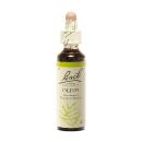 Fleur de Bach Olive Olea europaea - flacon de 20 ml