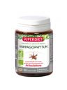 Harpagophytum Bio Super Diet - 80 comprimés