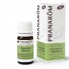 Huile essentielle de Romarin à verbénone Bio Pranarôm - flacon de 5 ml