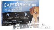 Capstar petit chien 11,4 mg comprimés de nitenpyram - 6 comprimés