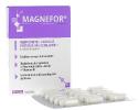 Magnefor nervosité-fatigue Ineldea - boîte de 90 gélules