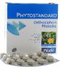 Phytostandard d'orthosiphon et de piloselle Pileje - boîte de 30 comprimés