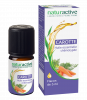 Huile essentielle chémotypée carotte Naturactive - flacon de 5 ml