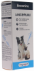 Lance-pilule pour chiens ou chats Biocanina - un lance-pilule