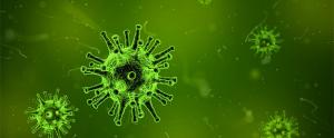 Comment agit le virus de la grippe ?