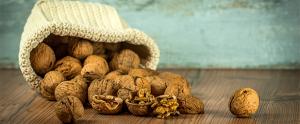 Quelles sont les propriétés de la fleur de bach walnut ?