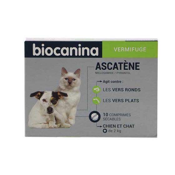 Ascatène comprimés chien et chat Biocanina - 10 comprimés sécables