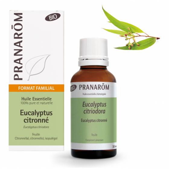 Huile essentielle d'Eucalyptus citronné bio Pranarôm - flacon de 30 ml