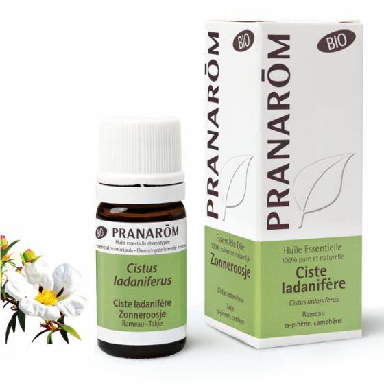 Huile essentielle de Ciste ladanifère bio Pranarôm - flacon de 5 ml