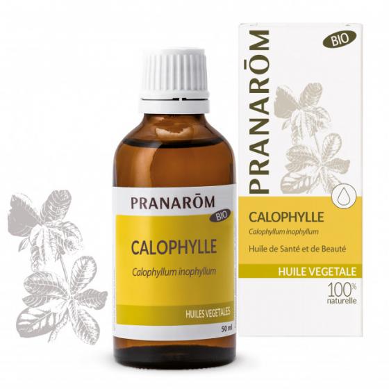 Huile végétale Calophylle bio Pranarôm - flacon de 50 ml