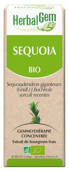 Séquoia bio Herbalgem - flacon de 30 ml