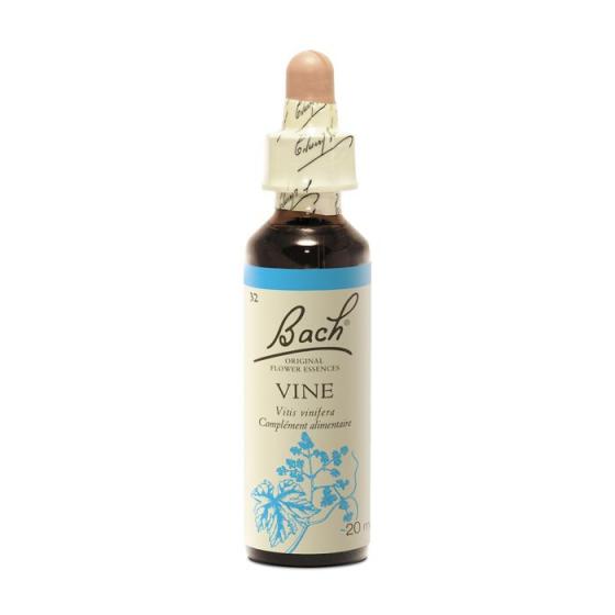Fleur de Bach Vine Vitis vinifera - flacon de 20 ml