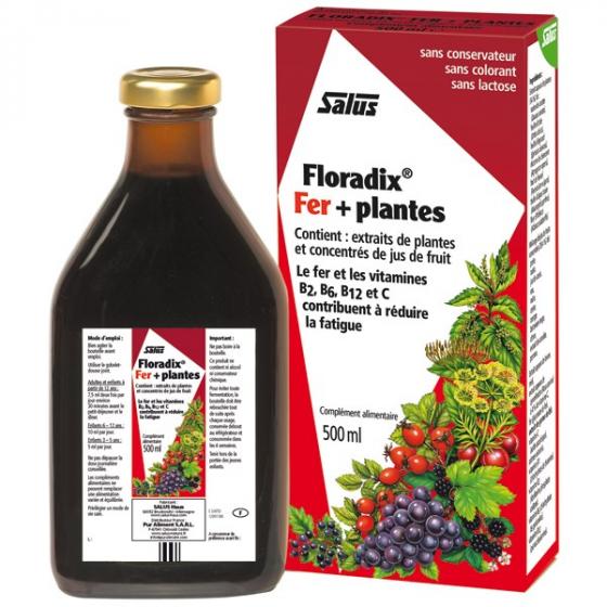 Floradix fer + plantes Salus - flacon 500 ml