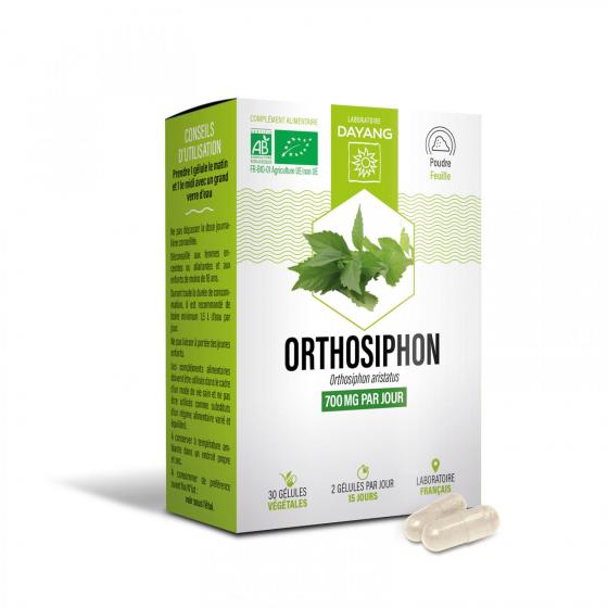 Orthosiphon bio Dayang - boîte de 30 gélules