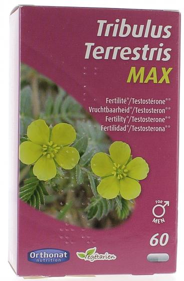 Tribulus Terrestris Max Orthonat - boîte de 60 gélules
