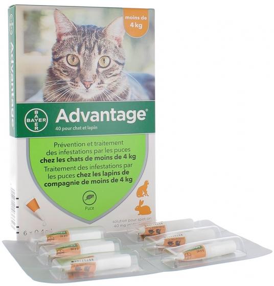 Advantage 40 pour chat et lapin moins de 4 kg Bayer - boite de 6 pipettes