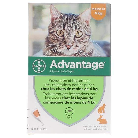 Advantage 40 pour chat et lapin moins de 4 kg Bayer - boite de 4 pipettes