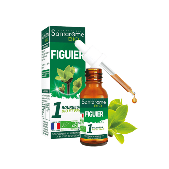 1 bourgeon BIO et frais Figuier Santarome - flacon de 30 ml