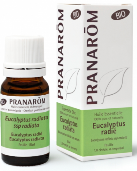 Huile essentielle d'Eucalyptus radié bio Pranarôm - flacon de 10 ml