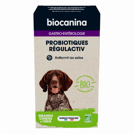 Probiotiques Régulactiv bio grands chiens Biocanina - boîte de 123g