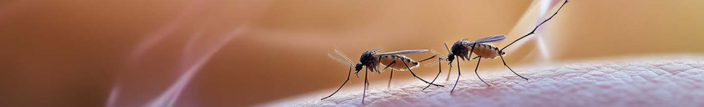 Comment soigner une piqûre d'insecte qui gonfle ?