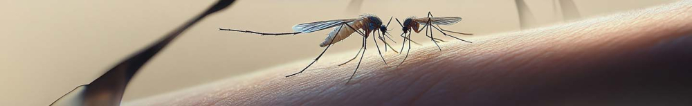 Comment soigner une piqûre qui gonfle ?