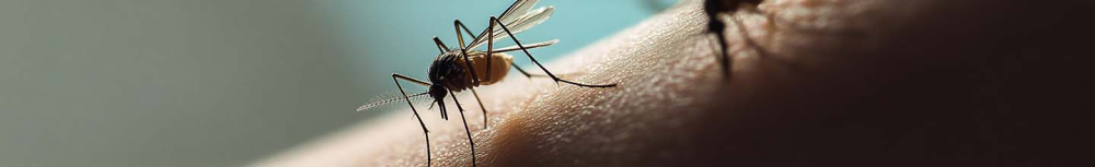 Quand consulter après piqûre ?