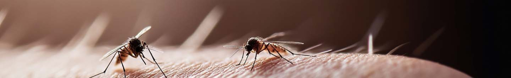 Quel est le meilleur antihistaminique contre les piqûres d’insectes ?