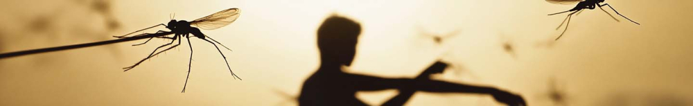 Comment dégonfler piqûre insecte ?