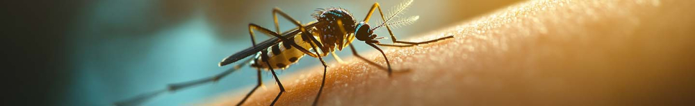 Quel médicament prendre en cas de piqûre d'insecte ?