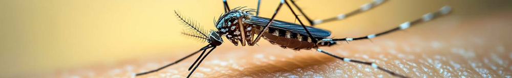 Quelle est la meilleure crème pour les piqûres d'insectes ?